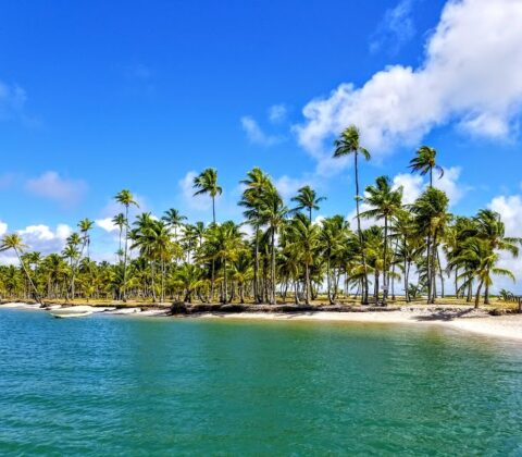 Imagem do post Quilombos de Boipeba denunciam pressão do Inema por empreendimentos em seus territórios