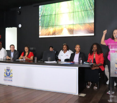 Imagem do post Trabalhadores do Carnaval ocuparão a Tribuna Popular da Câmara