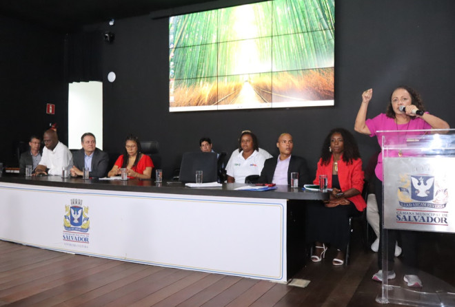 Trabalhadores do Carnaval ocuparão a Tribuna Popular da Câmara