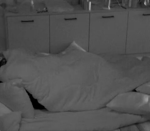 Imagem do post Aline e Diogo protagonizam momento íntimo no BBB 25