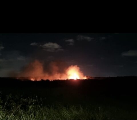 Imagem do post Oeste da Bahia sofre com pior temporada de queimadas