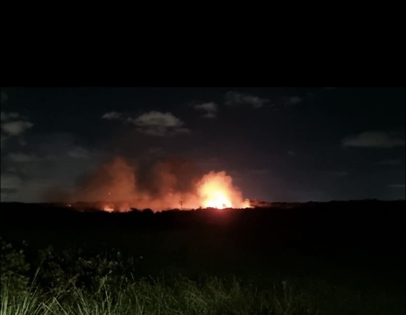 Incêndio atinge área de mata de condomínio de luxo em Camaçari