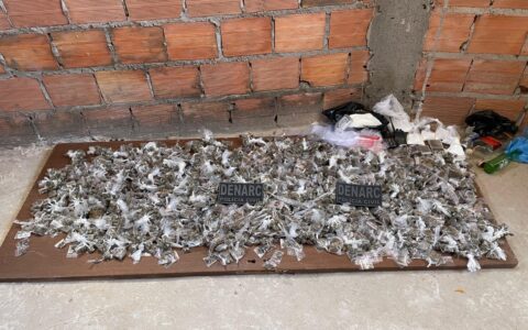 Imagem do post Polícia Civil localiza 10 kg de drogas em casa abandonada no bairro Sussuarana