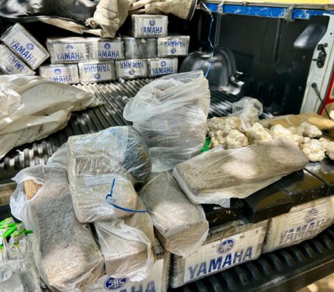 Imagem do post Polícia Civil incinera 175 quilos de drogas em Santo Antônio de Jesus