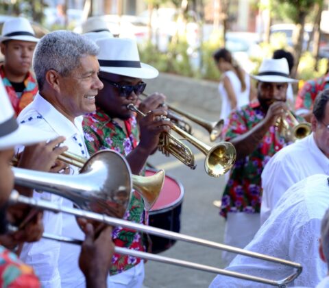 Imagem do post Blocos afro, festas nos bairros e shows no Pelourinho marcam a programação do Carnaval da Bahia