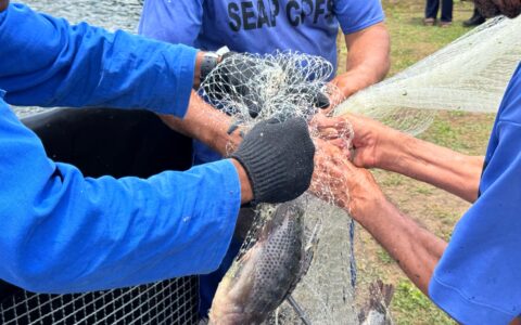 Imagem do post Seap realiza conjunto de entregas em Feira de Santana
