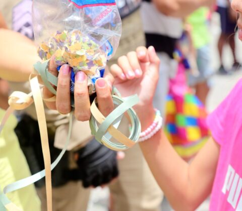 Imagem do post Carnaval 2025: Prefeitura desaconselha uso de confetes e serpentinas para evitar acidentes na rede elétrica