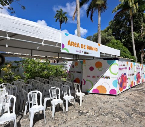 Imagem do post Estado lança segunda edição do Projeto Cuidar de Quem Cuida para acolher catadoras no Carnaval