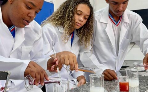 Imagem do post Estudantes baianos criam bioglitter ecológico para o Carnaval