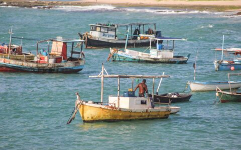 Imagem do post Pescadores e marisqueiras celebram retomada do Mais Pesca