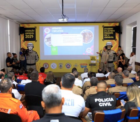 Imagem do post Redução dos índices de crimes marcam balanço o primeiro dia do Carnaval 2025