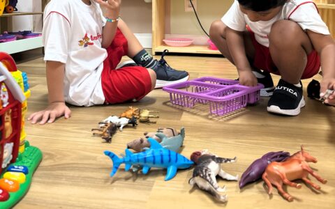 Imagem do post Recesso de carnaval: confira dicas para manter as crianças ativas e longe das telas