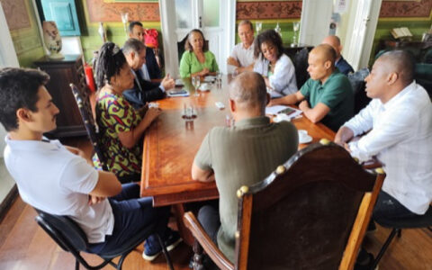 Imagem do post Profissionais do Carnaval apresentam pautas para audiência pública do dia 12