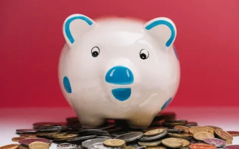 Imagem do post Salvem os porquinhos! Viva a Socopo!