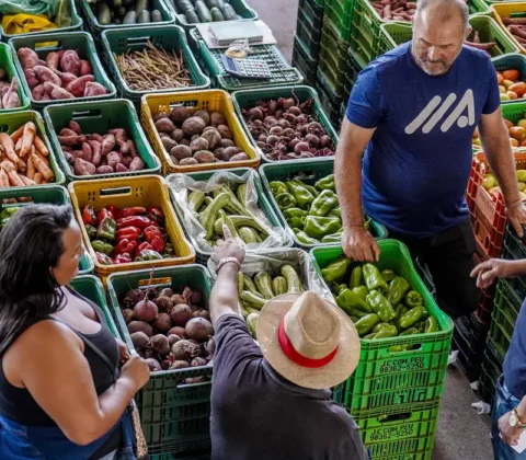 Imagem do post Inflação dos alimentos é explicada por menos oferta, diz IBGE