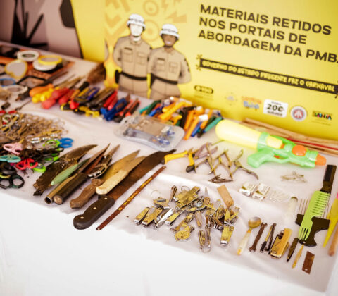 Imagem do post PM apreendeu 4.963 objetos proibidos no Carnaval 2025