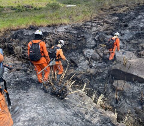 Imagem do post Incêndio no Morro do Pai Inácio é controlado; Bombeiros monitoram região