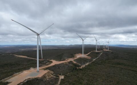 Imagem do post Bahia lidera produção de energia limpa no Brasil