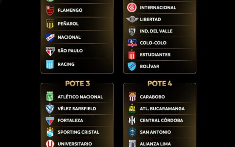 Imagem do post Saiba o pote que o Bahia está na Libertadores da América