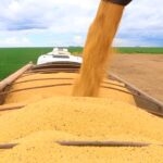 Safra de grãos no Brasil pode bater recorde e superar 367 milhões de toneladas