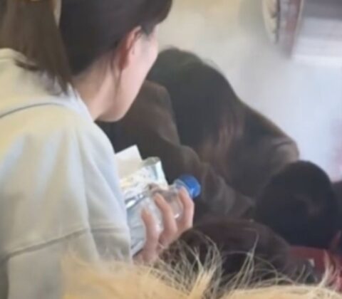 Imagem do post Avião pega fogo e faz pouso de emergência