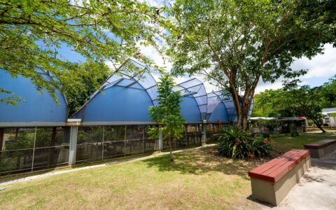 Imagem do post Sedur realiza ação educativa em alusão ao Dia das Florestas e da Água