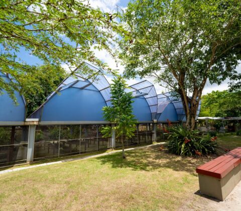 Imagem do post Sedur realiza ação educativa em alusão ao Dia das Florestas e da Água