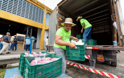 Imagem do post Agricultores celebram recebimento de sementes e insumos