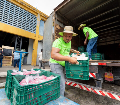 Imagem do post Agricultores celebram recebimento de sementes e insumos