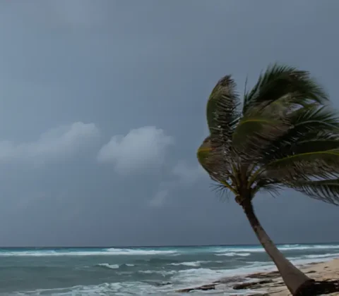 Imagem do post Marinha faz alerta para ondas de até 2,5 metros