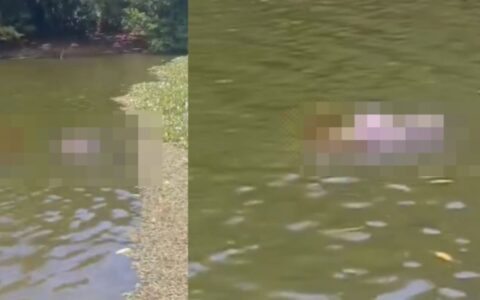 Imagem do post Corpo de homem é encontrado boiando na Lagoa do Abaeté