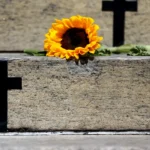 Crime na Baixa de Quintas: mulher é morta e homem é preso em flagrante