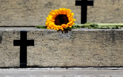 Imagem do post CNJ registra aumento de 225% no número de julgamentos de feminicídio