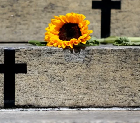 Imagem do post CNJ registra aumento de 225% no número de julgamentos de feminicídio