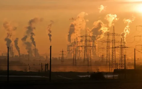 Imagem do post ONU confirma que 2024 foi o ano mais quente em 175 anos