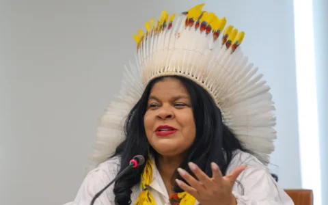 Imagem do post Ministra destaca trabalho inédito na proteção dos povos indígenas