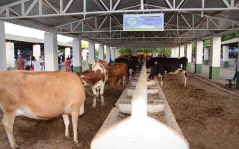 Imagem do post Saiba quando acontece Expoagri em Irecê