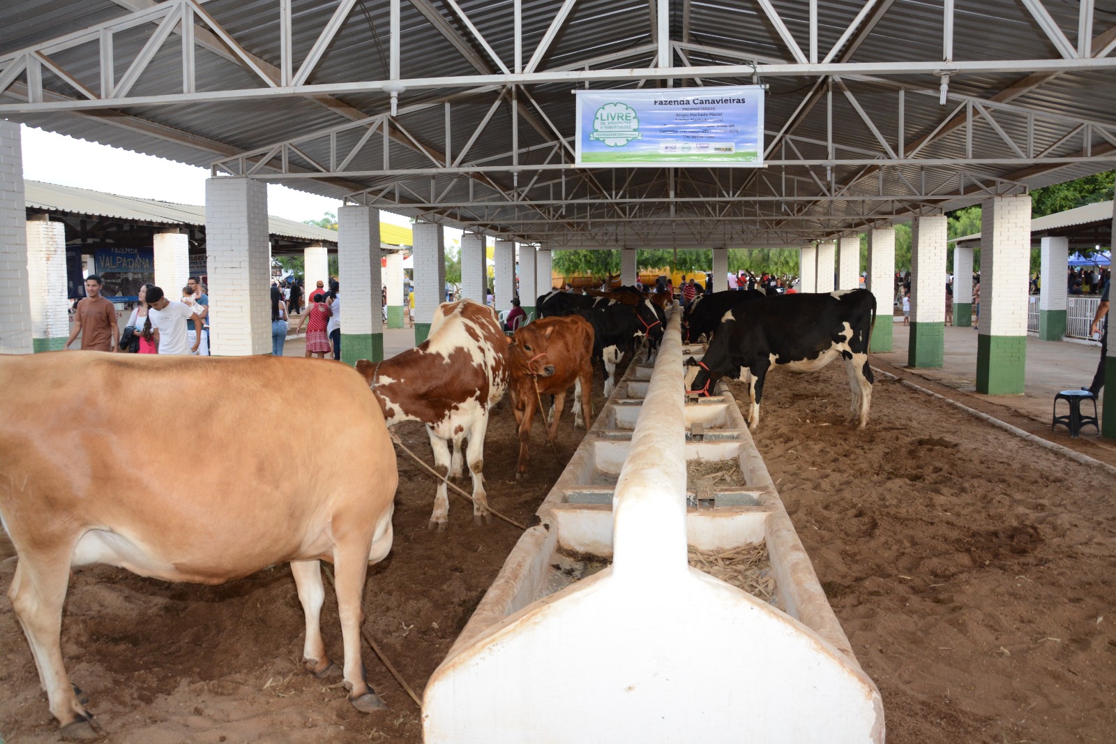 Saiba quando acontece Expoagri em Irecê