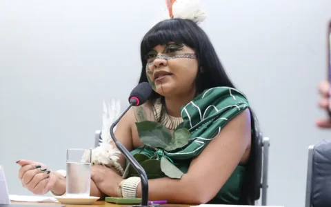 Imagem do post Deputada pede que PF investigue violência em marcha indígena