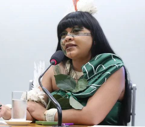 Imagem do post Deputada pede que PF investigue violência em marcha indígena