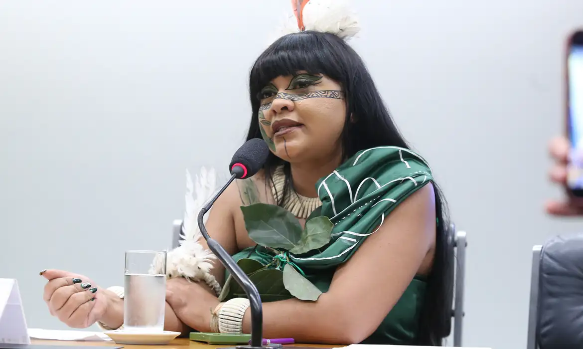 Deputada pede que PF investigue violência em marcha indígena