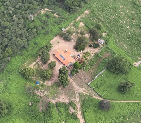 Imagem do post Denúncia do MPBA é acatada e Justiça condena seis por tráfico de drogas e lavagem de dinheiro