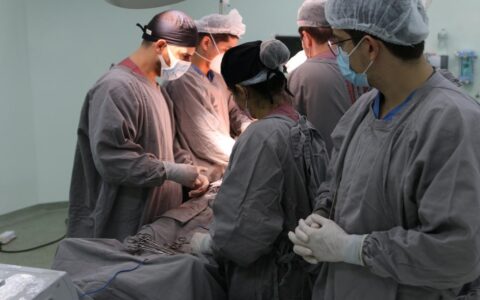 Imagem do post Bahia habilita primeiro centro de transplante de fígado no interior