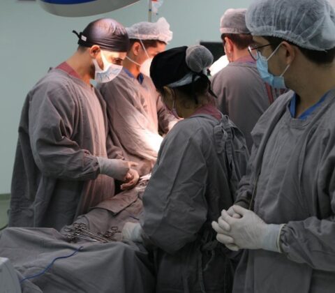 Imagem do post Bahia habilita primeiro centro de transplante de fígado no interior