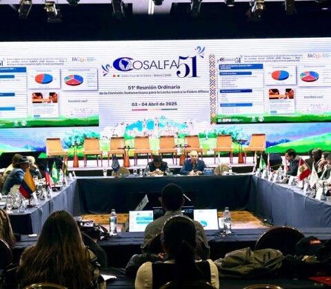 Imagem do post Encontro internacional define estratégias de prevenção contra a febre aftosa