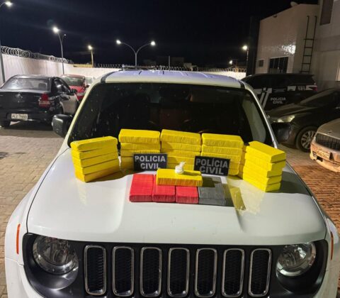 Imagem do post Polícia Civil prende em flagrante homem que transportava 30 quilos de cocaína