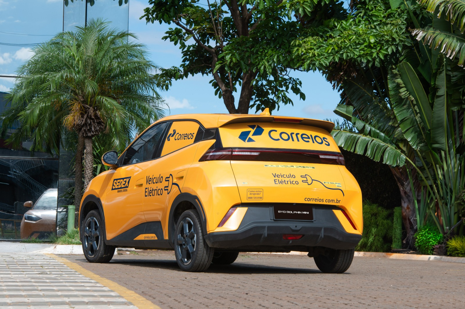 BYD lança Dolphin Mini Cargo e aposta em soluções elétricas para logística urbana