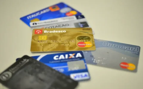 Imagem do post Juros do cartão disparam e pressionam famílias, diz Banco Central