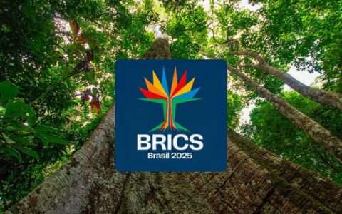 Imagem do post Sociedade civil pode se inscrever até o dia 10 em diálogo do Brics