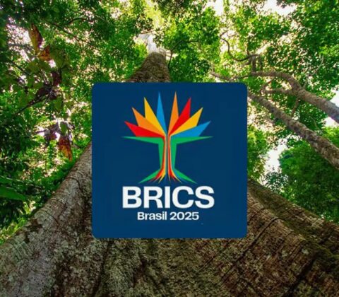 Imagem do post Sociedade civil pode se inscrever até o dia 10 em diálogo do Brics